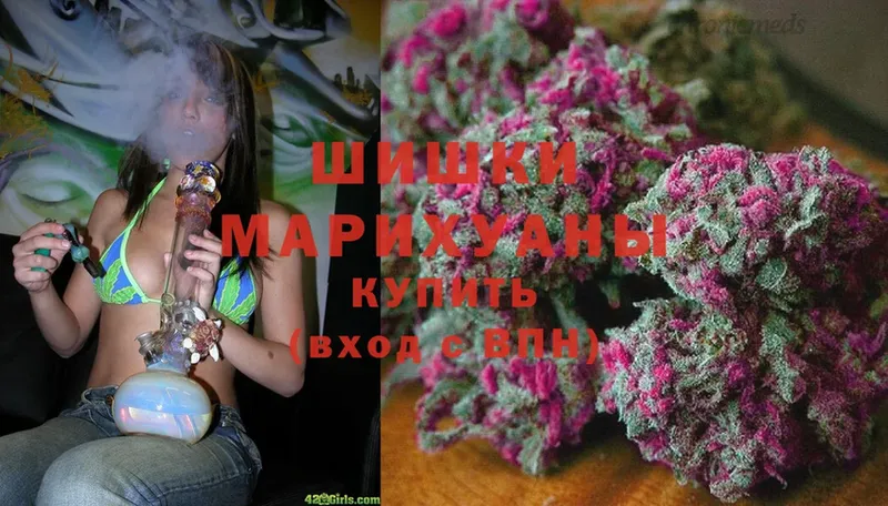 гидра онион  закладки  Осташков  Шишки марихуана THC 21% 